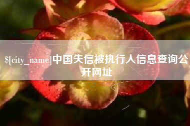 张家界中国失信被执行人信息查询公开网址