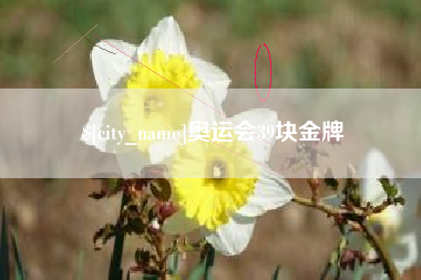 张家界奥运会39块金牌