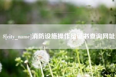 张家界消防设施操作员证书查询网址