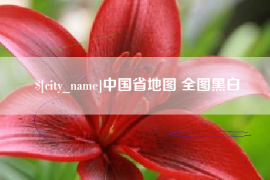 张家界中国省地图 全图黑白