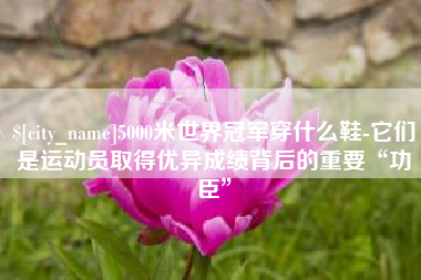 张家界5000米世界冠军穿什么鞋-它们是运动员取得优异成绩背后的重要“功臣”