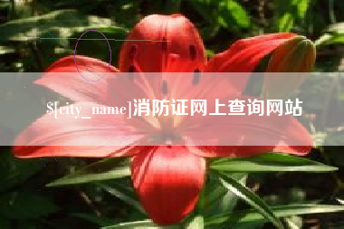 张家界消防证网上查询网站