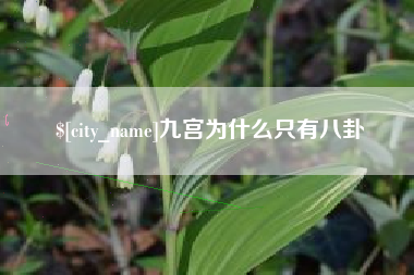 张家界九宫为什么只有八卦