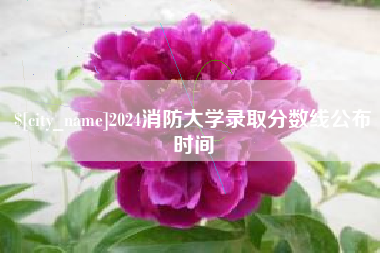 张家界2024消防大学录取分数线公布时间