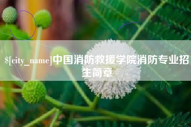 张家界中国消防救援学院消防专业招生简章