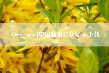 张家界中国消防公众号app下载