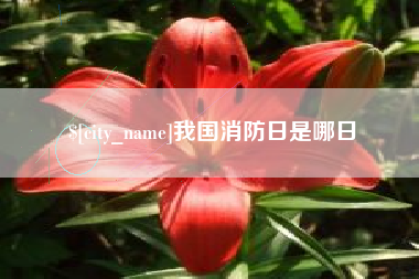 张家界我国消防日是哪日