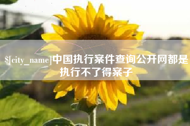 张家界中国执行案件查询公开网都是执行不了得案子