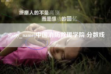 张家界中国消防救援学院 分数线