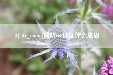 张家界消防ccc认证什么意思