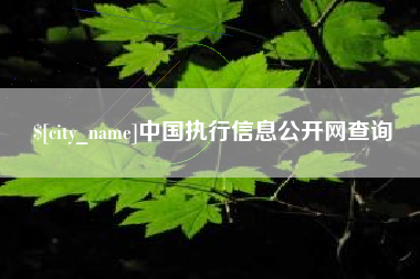 张家界中国执行信息公开网查询