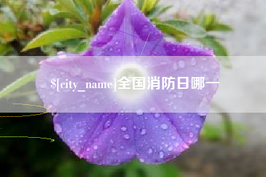 张家界全国消防日哪一