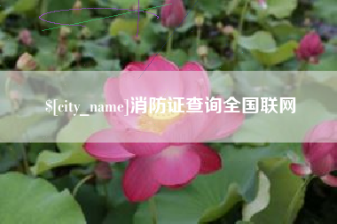 张家界消防证查询全国联网