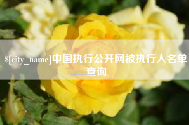 张家界中国执行公开网被执行人名单查询