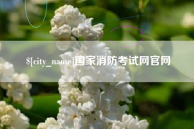 张家界国家消防考试网官网