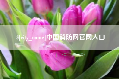 张家界中国消防网官网入口