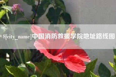 张家界中国消防救援学院地址路线图