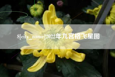 张家界2022年九宫格飞星图
