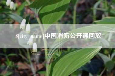 张家界中国消防公开课回放