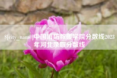 张家界中国消防救援学院分数线2023年河北录取分数线