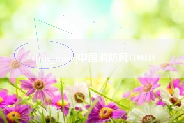张家界中国消防网1190119