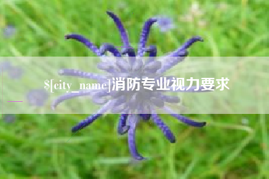 张家界消防专业视力要求