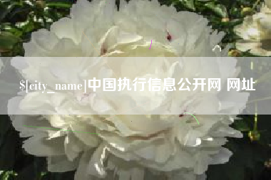 张家界中国执行信息公开网 网址