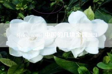 张家界中国的几块金牌2021