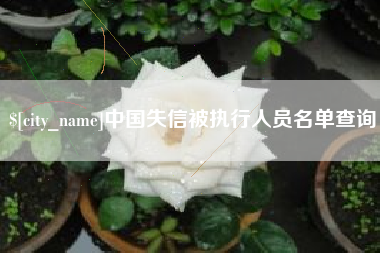 张家界中国失信被执行人员名单查询