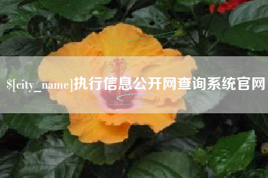 张家界执行信息公开网查询系统官网