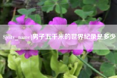 张家界男子五千米的世界纪录是多少