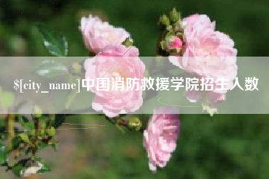 张家界中国消防救援学院招生人数