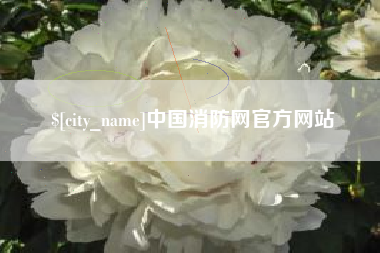 张家界中国消防网官方网站