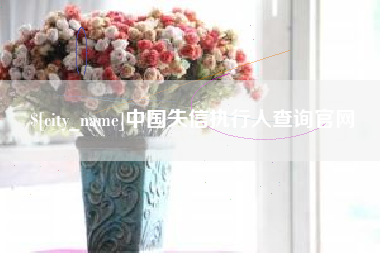张家界中国失信执行人查询官网
