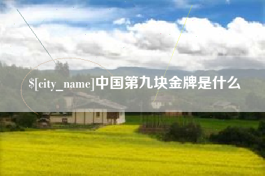 张家界中国第九块金牌是什么