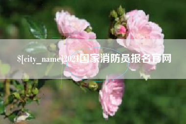 张家界2021国家消防员报名官网