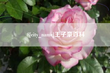 张家界王子豪百科