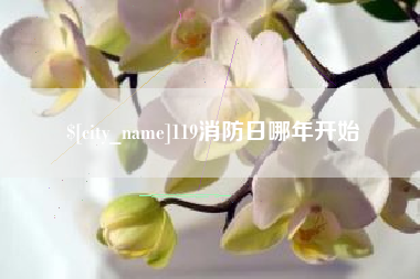 张家界119消防日哪年开始