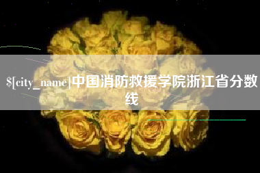 张家界中国消防救援学院浙江省分数线