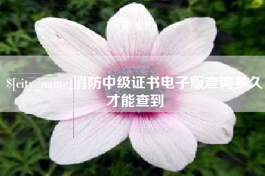 张家界消防中级证书电子版查询多久才能查到