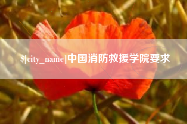 张家界中国消防救援学院要求