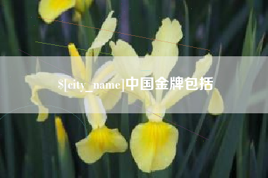 张家界中国金牌包括