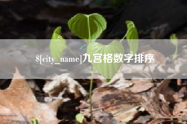 张家界九宫格数字排序