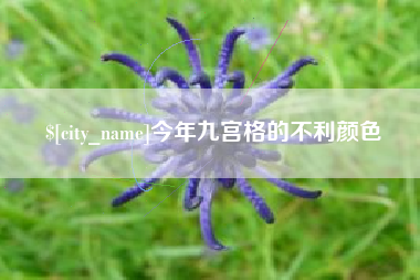 张家界今年九宫格的不利颜色