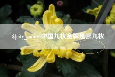 张家界中国九枚金牌是哪九枚
