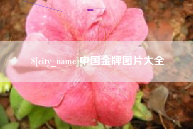 张家界中国金牌图片大全
