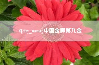 张家界中国金牌第九金