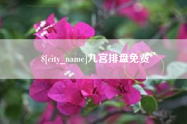 张家界九宫排盘免费