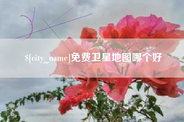 张家界免费卫星地图哪个好