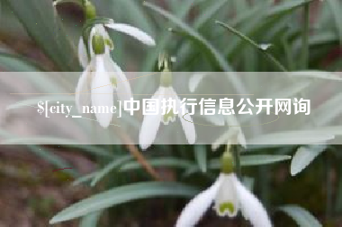 张家界中国执行信息公开网询
